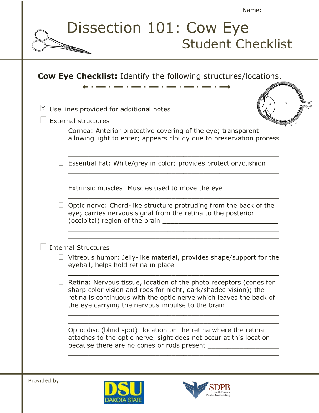 Dissection 101: Cow Eye Student Checklist