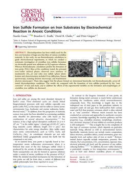 Iron Sulfide Formation on Iron Substrates by Electrochemical