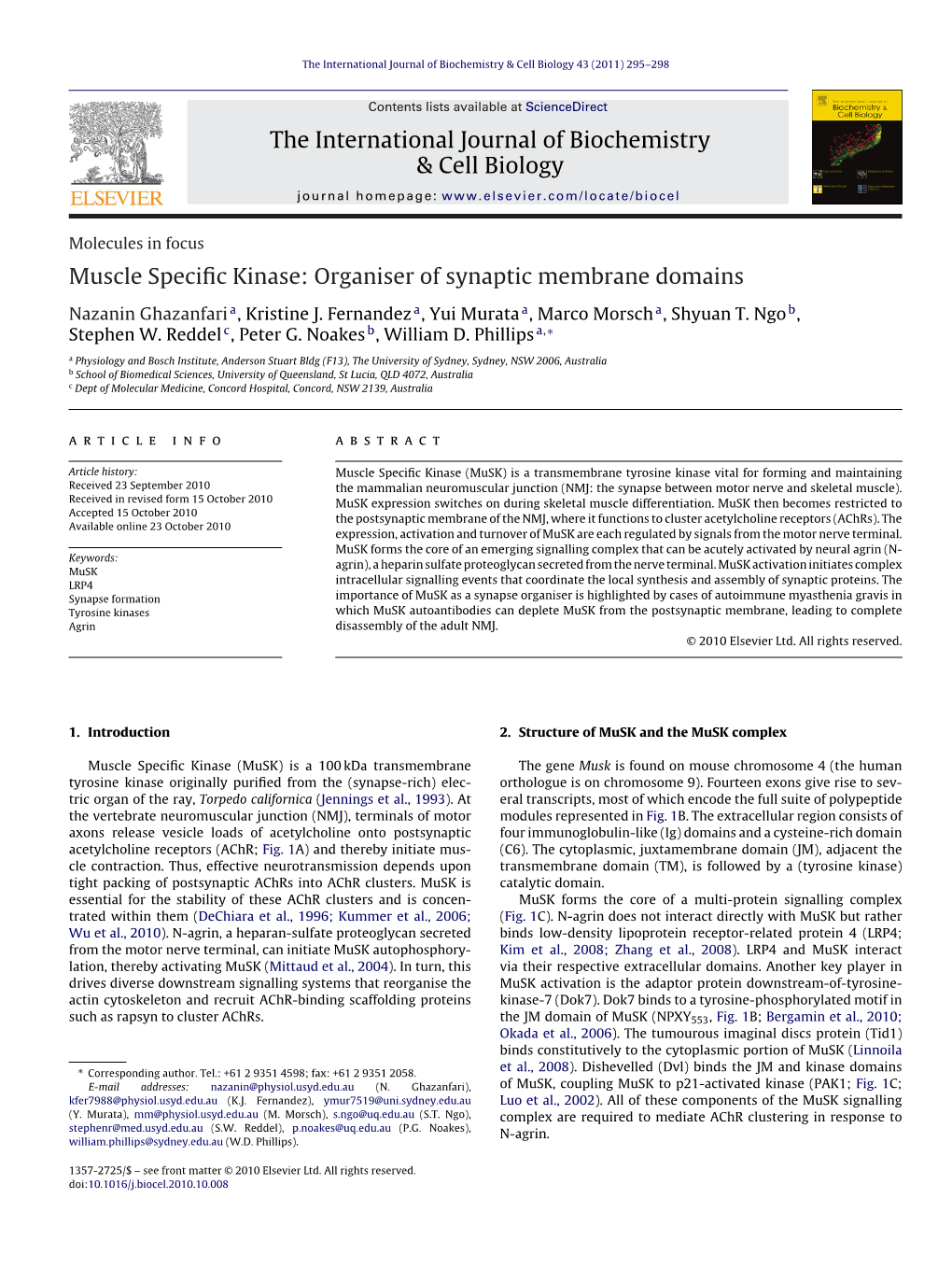 Organiser of Synaptic Membrane Domains