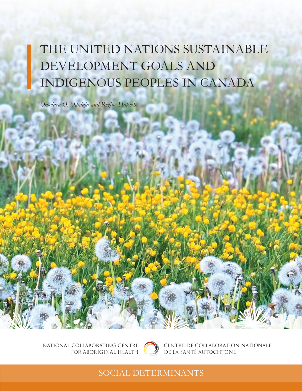 The United Nations Sustainable Development Goals and Indigenous Peoples in Canada