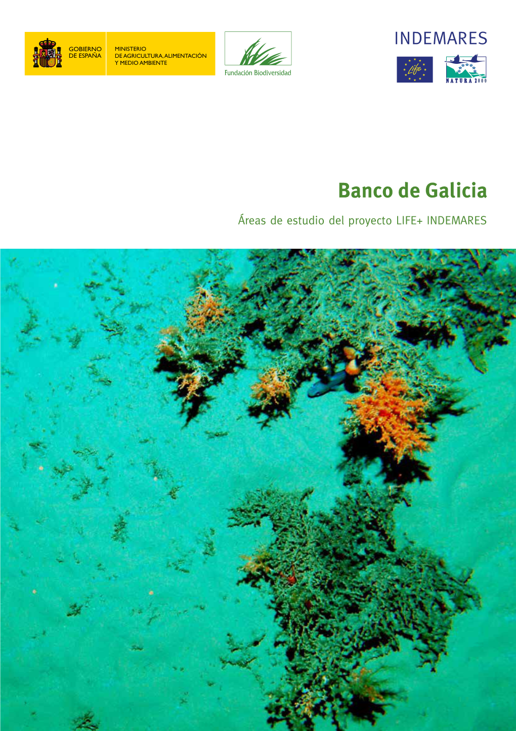 Banco De Galicia