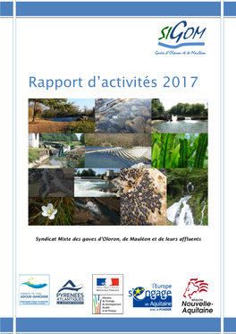 Rapport D'activités 2017 1/14