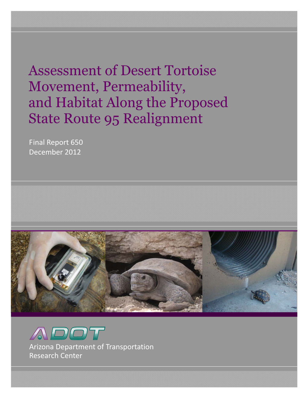 Assessment of Desert Tortoise Movement, Permeability, and Habitat Along the Proposed State Route 95 Realignment