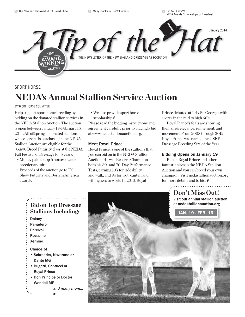 NEDA's Annual Stallion Service Auction