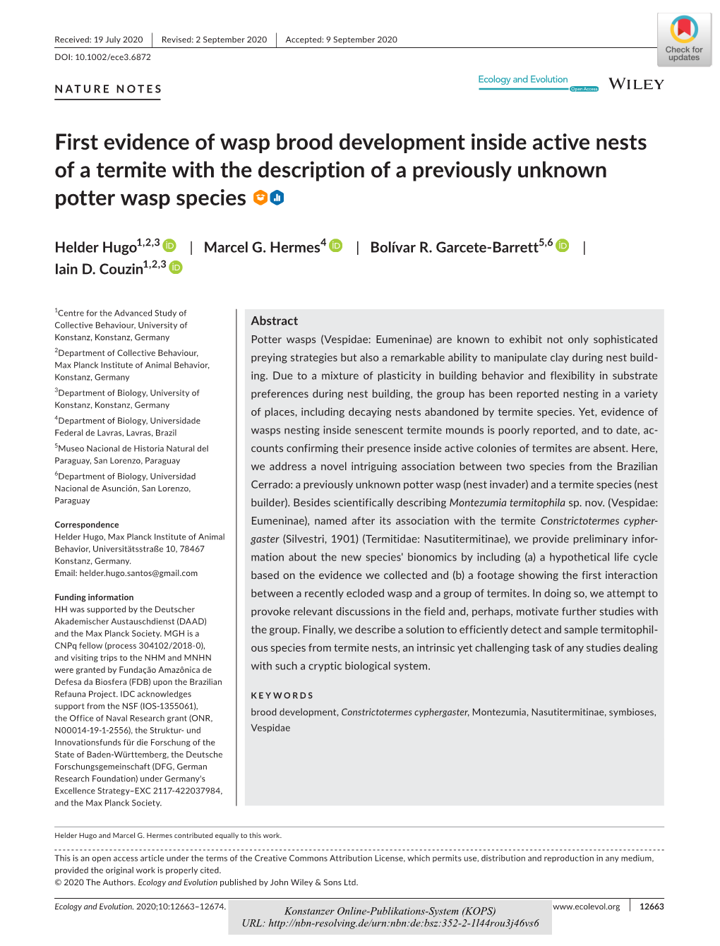 First Evidence of Wasp Brood Development Inside Active Nests of a Termite with the Description of a Previously Unknown Potter Wasp Species