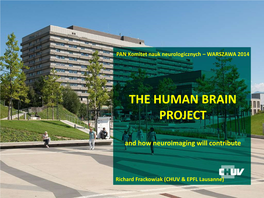 The Human Brain Project