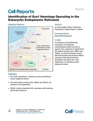 Identification of Oxa1 Homologs Operating in the Eukaryotic