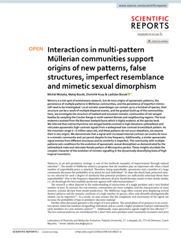 Interactions in Multi-Pattern Müllerian Communities Support Origins of New
