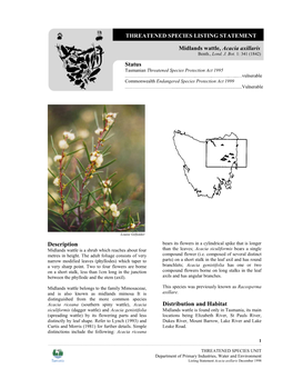 Threatened Species Listing Statement-Midlands Wattle, Acacia Axillaris