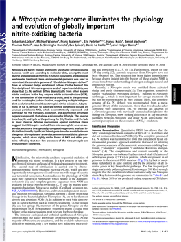 A Nitrospira Metagenome Illuminates the Physiology and Evolution of Globally Important Nitrite-Oxidizing Bacteria