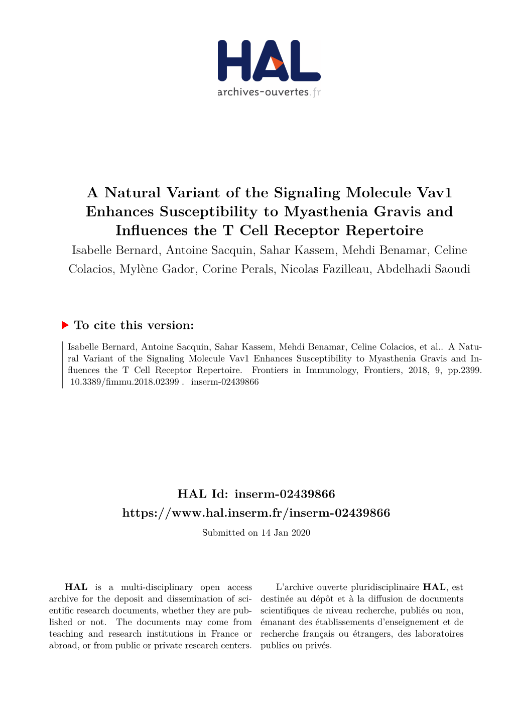A Natural Variant of the Signaling Molecule Vav1 Enhances