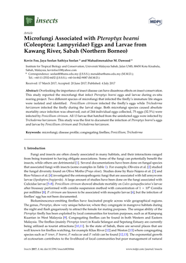 Microfungi Associated with Pteroptyx Bearni (Coleoptera: Lampyridae) Eggs and Larvae from Kawang River, Sabah (Northern Borneo)