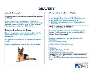 BRAVERY What Is Bravery? People Who Are Brave Might…