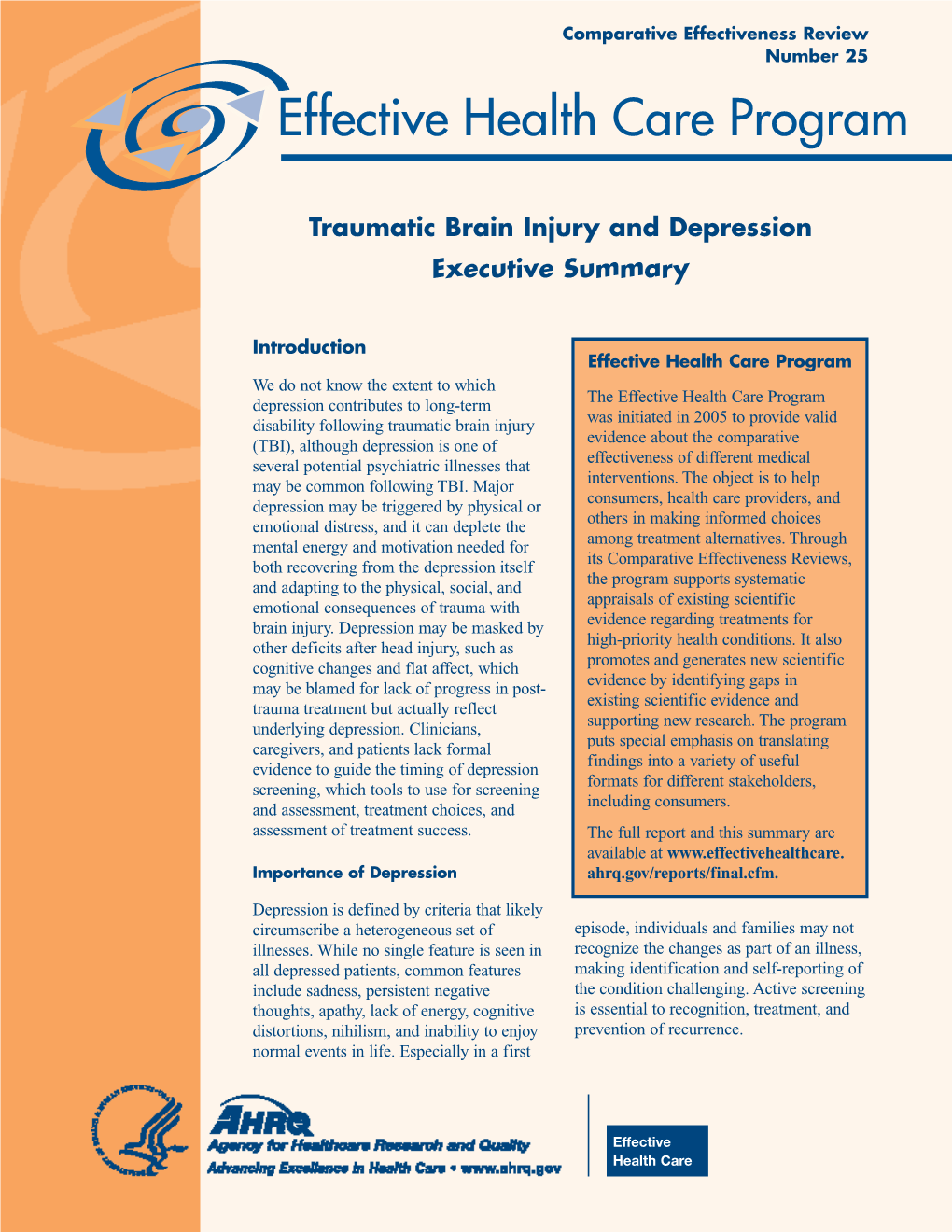 Traumatic Brain Injury and Depression Executive Summary