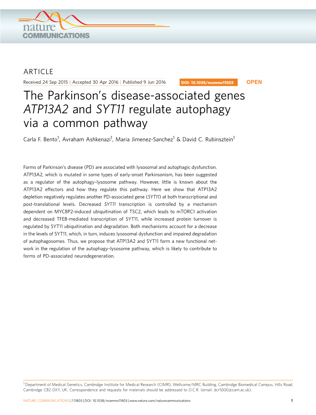 S Disease-Associated Genes ATP13A2 and SYT11 Regulate Autophagy Via a Common Pathway