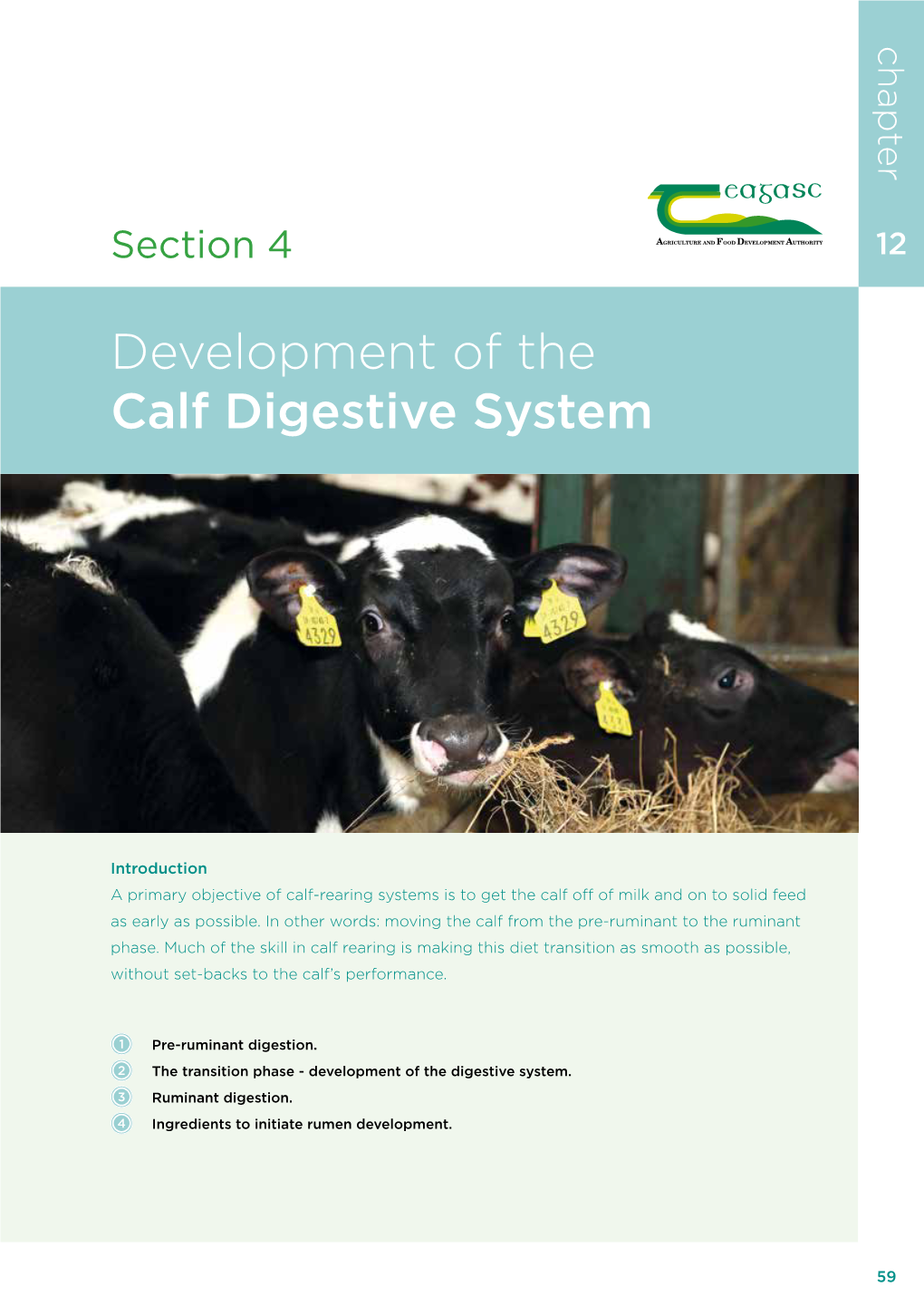 Development of the Calf Digestive System