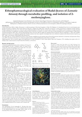 Leaves of Lomatia Hirsuta ) Through Metabolite Profiling, and Isolation of 2- Methoxyjuglone