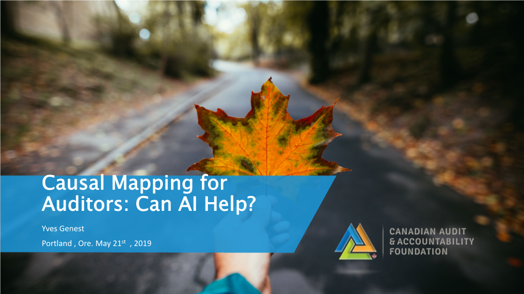 Causal Mapping for Auditors: Can AI Help? Yves Genest Portland , Ore