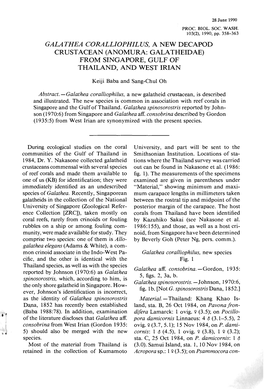 Galathea Coralliophilus, a New Decapod Crustacean (Anomura: Galatheidae) from Singapore, Gulf of Thailand, and West Irian