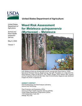 Melaleuca Quinquenervia Animal and Plant Health (Myrtaceae) – Melaleuca Inspection Service