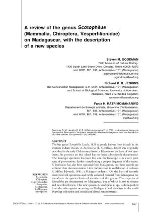 A Review of the Genus Scotophilus (Mammalia, Chiroptera, Vespertilionidae) on Madagascar, with the Description of a New Species