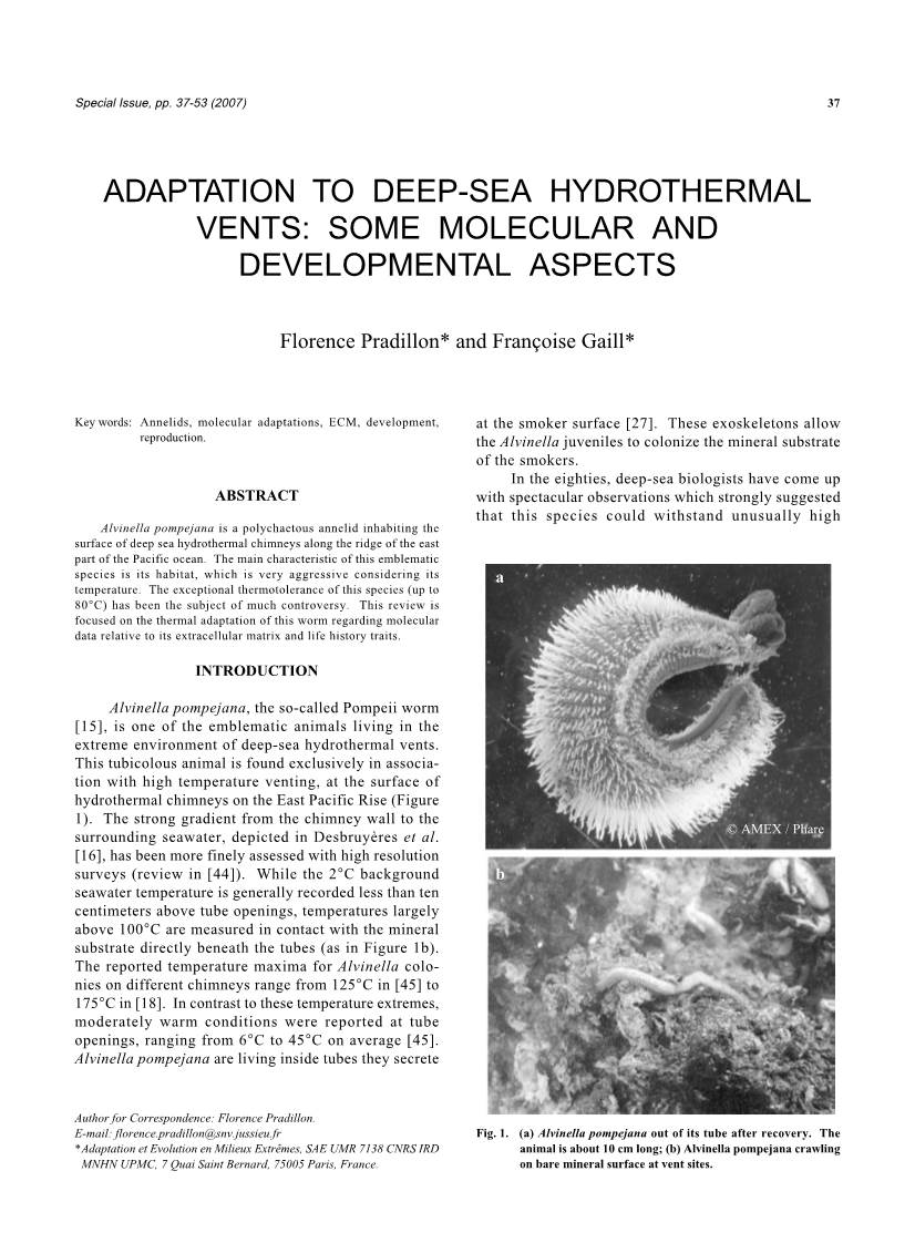 Adaptation to Deep-Sea Hydrothermal Vents: Some Molecular and Developmental Aspects