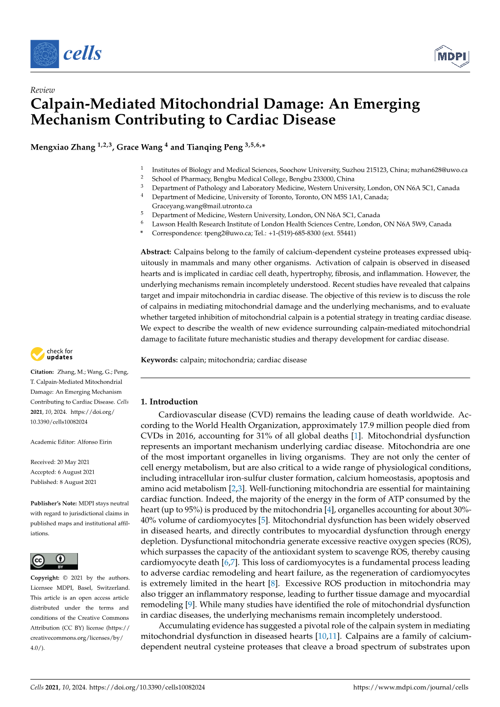 Calpain-Mediated Mitochondrial Damage: an Emerging Mechanism Contributing to Cardiac Disease