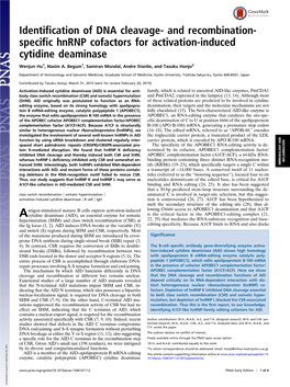 Identification of DNA Cleavage- and Recombination- Specific Hnrnp Cofactors for Activation-Induced Cytidine Deaminase