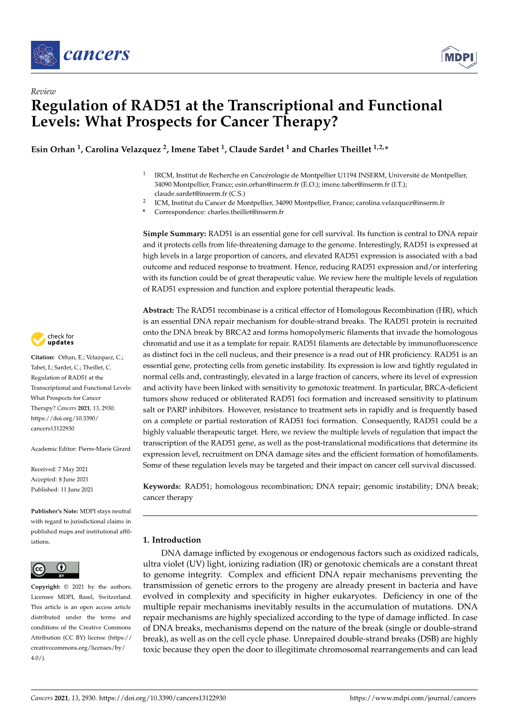 Regulation of RAD51 at the Transcriptional and Functional Levels: What Prospects for Cancer Therapy?