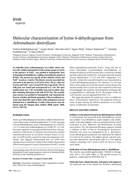 Molecular Characterization of Lysine 6-Dehydrogenase from Achromobacter Denitrificans