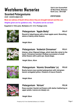 Scented Pelargoniums