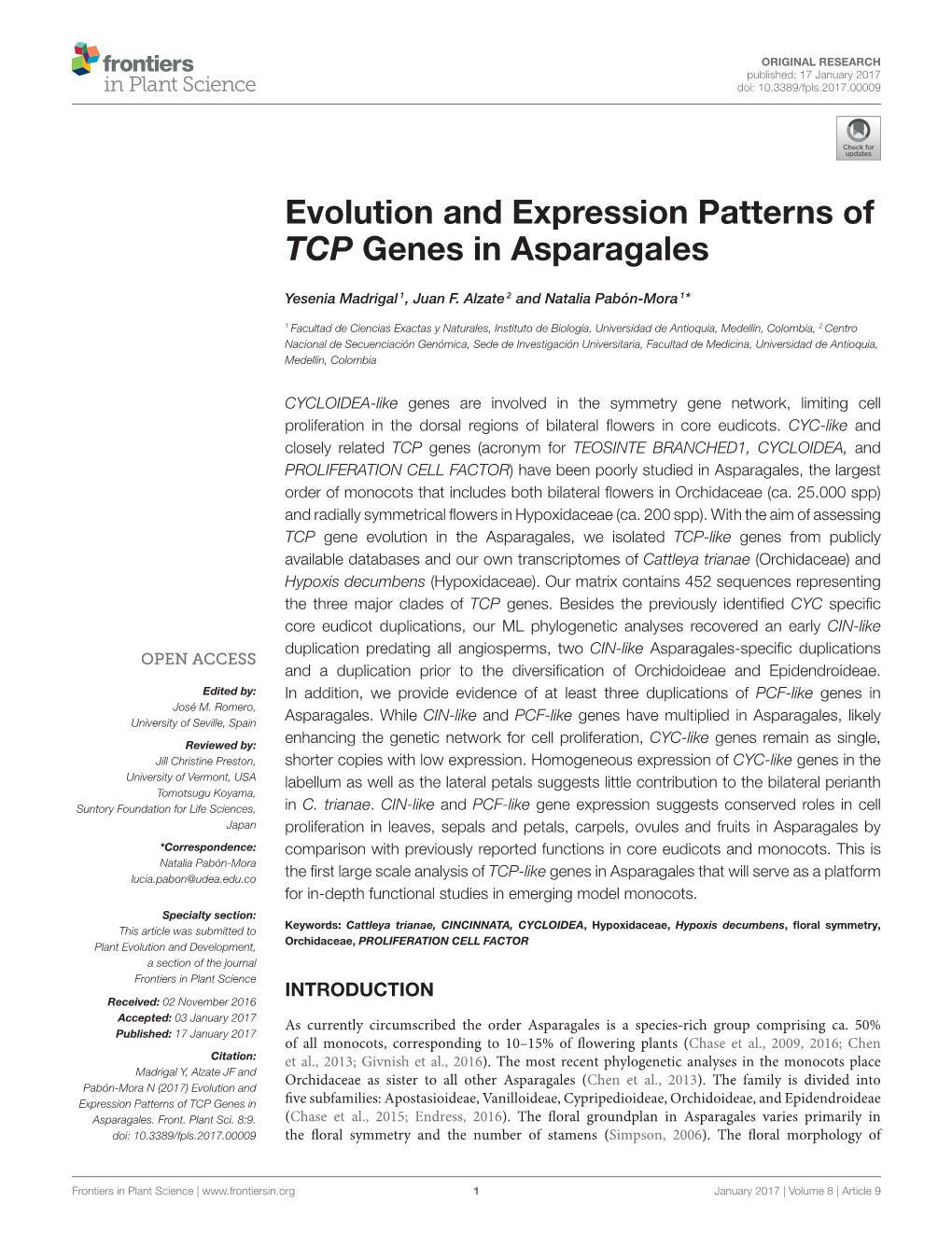 Evolution and Expression Patterns of TCP Genes in Asparagales