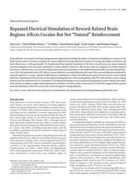 Repeated Electrical Stimulation of Reward-Related Brain Regions Affects Cocaine but Not “Natural” Reinforcement