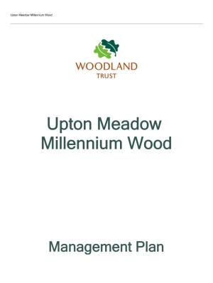 Upton Meadow Millennium Wood
