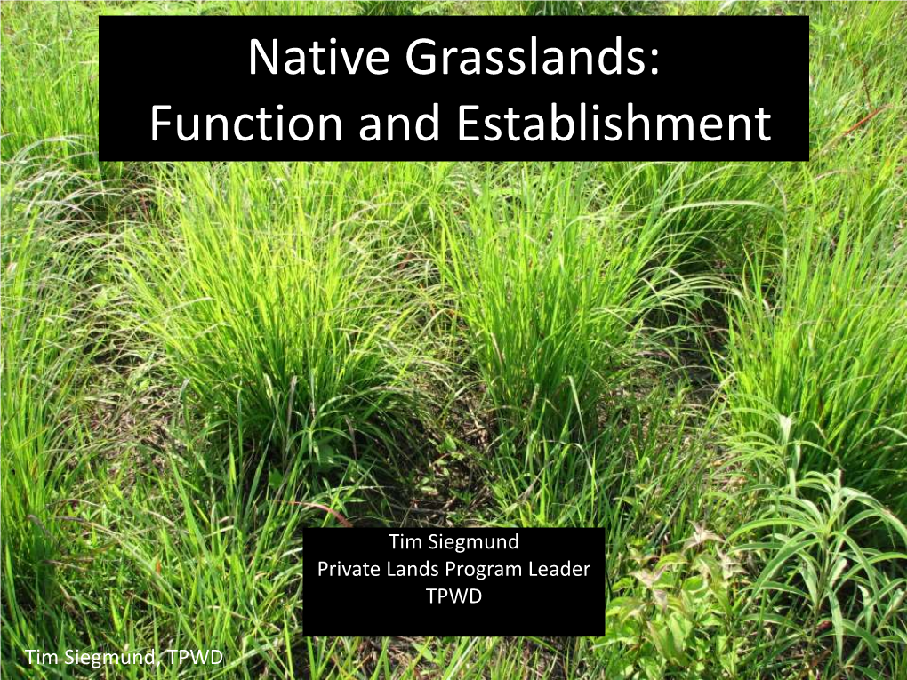 Native Grasslands Structure and Function