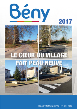 Bulletin Municipal 2017