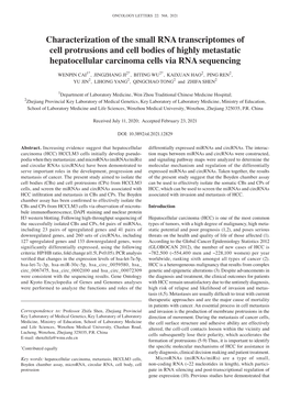 Characterization of the Small RNA Transcriptomes of Cell Protrusions and Cell Bodies of Highly Metastatic Hepatocellular Carcinoma Cells Via RNA Sequencing