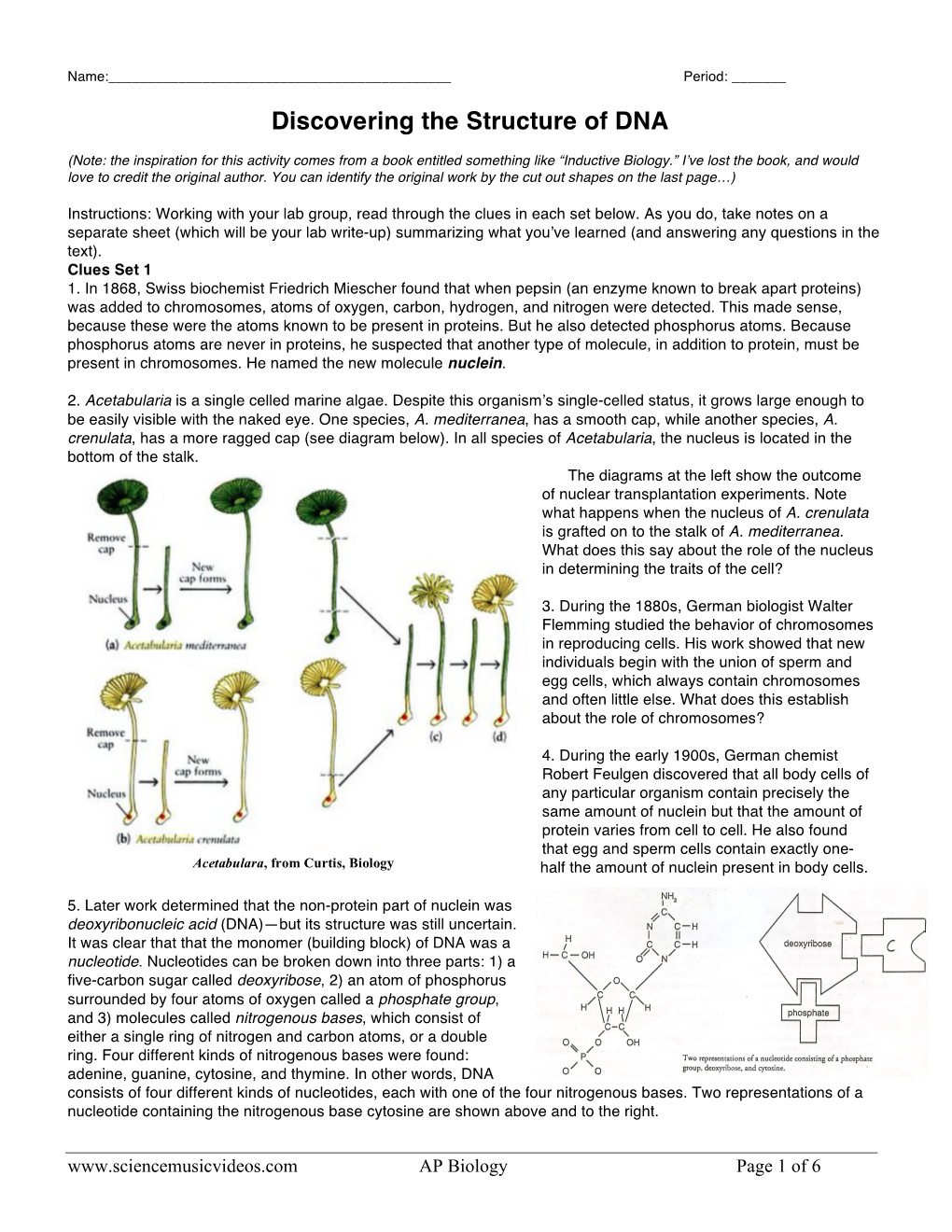 001 Discovery of DNA, AP Level