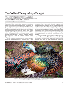 The Ocellated Turkey in Maya Thought