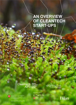 An Overview of Cleantech Start-Ups