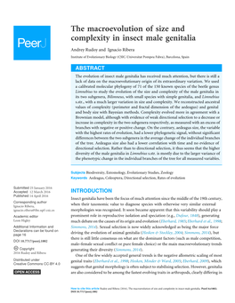 The Macroevolution of Size and Complexity in Insect Male Genitalia