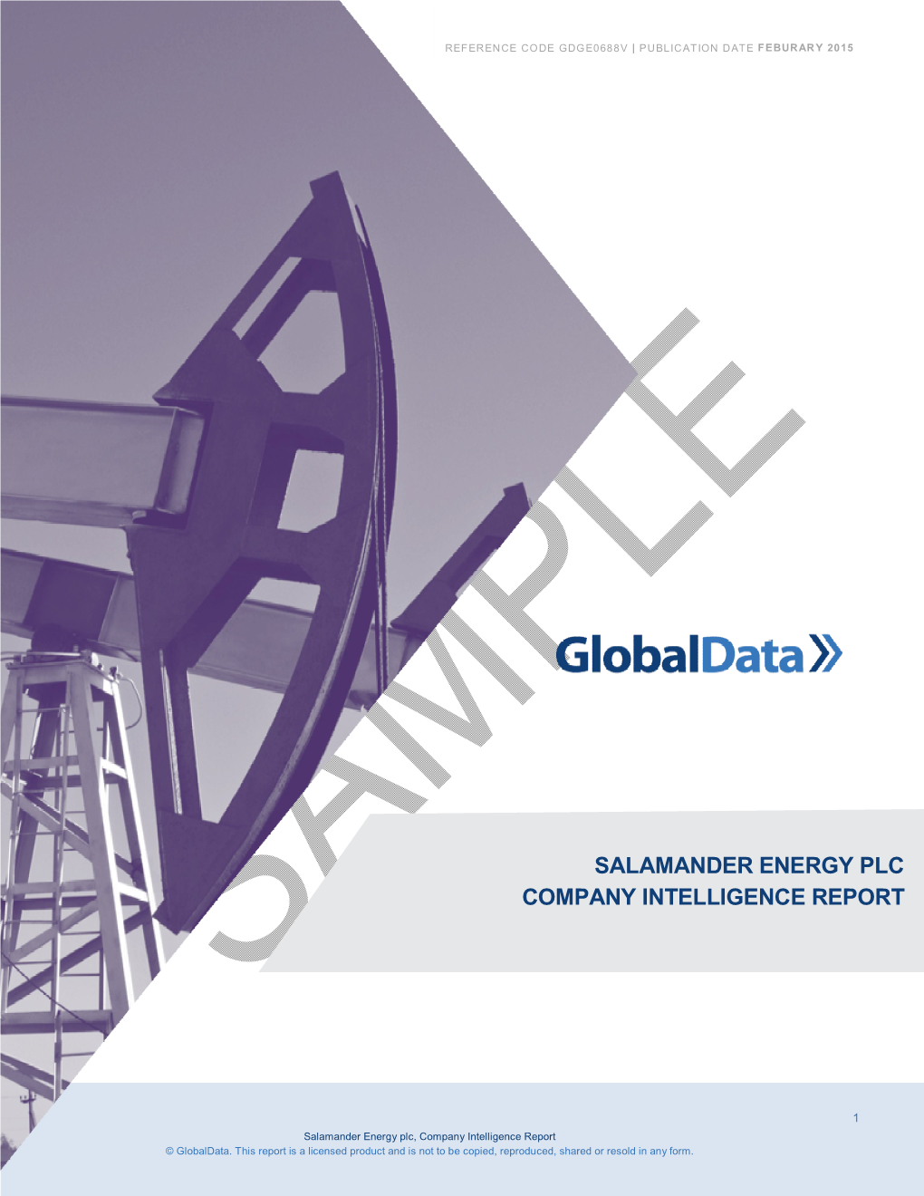 Salamander Energy Plc Company Intelligence Report