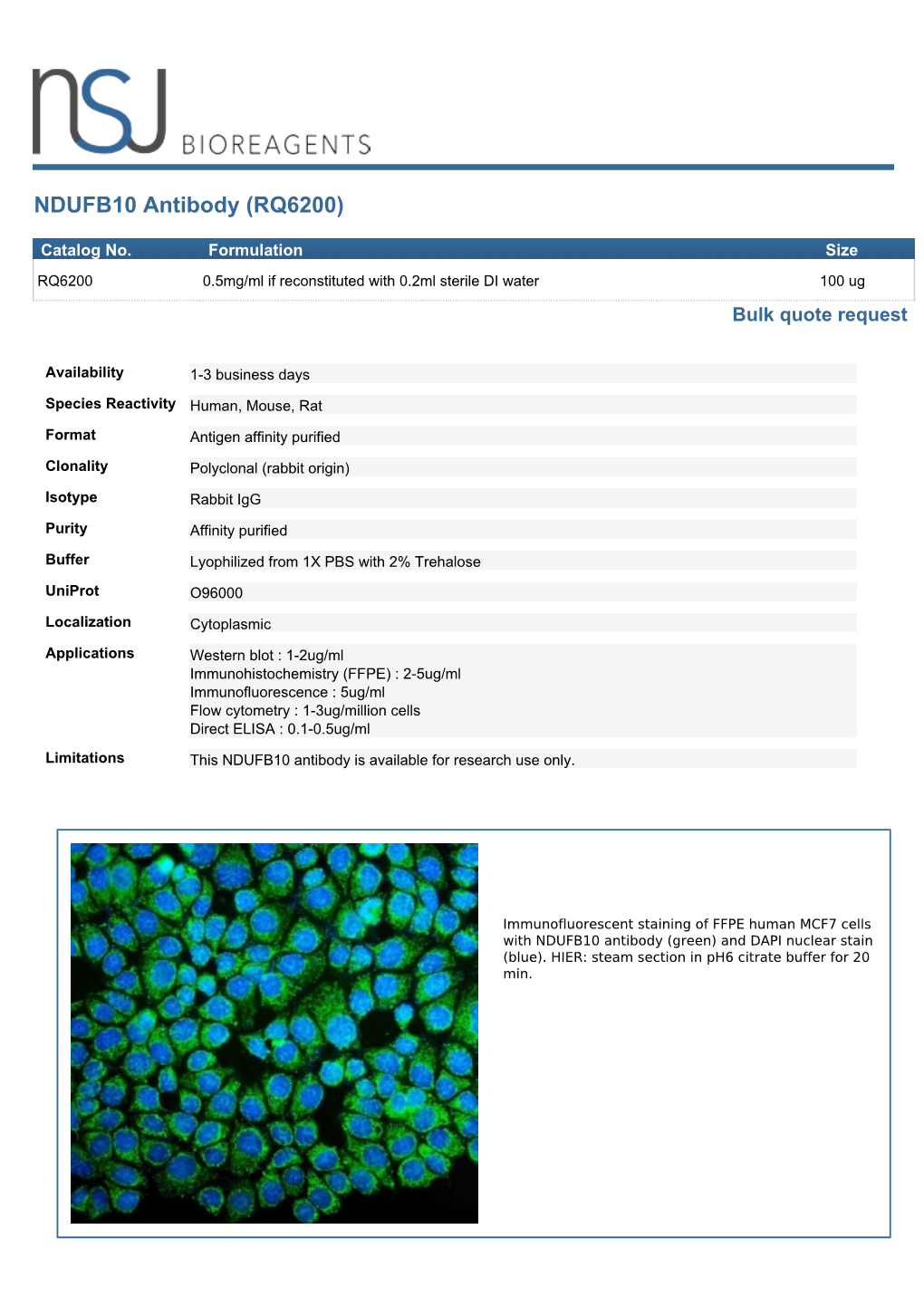 NDUFB10 Antibody (RQ6200)