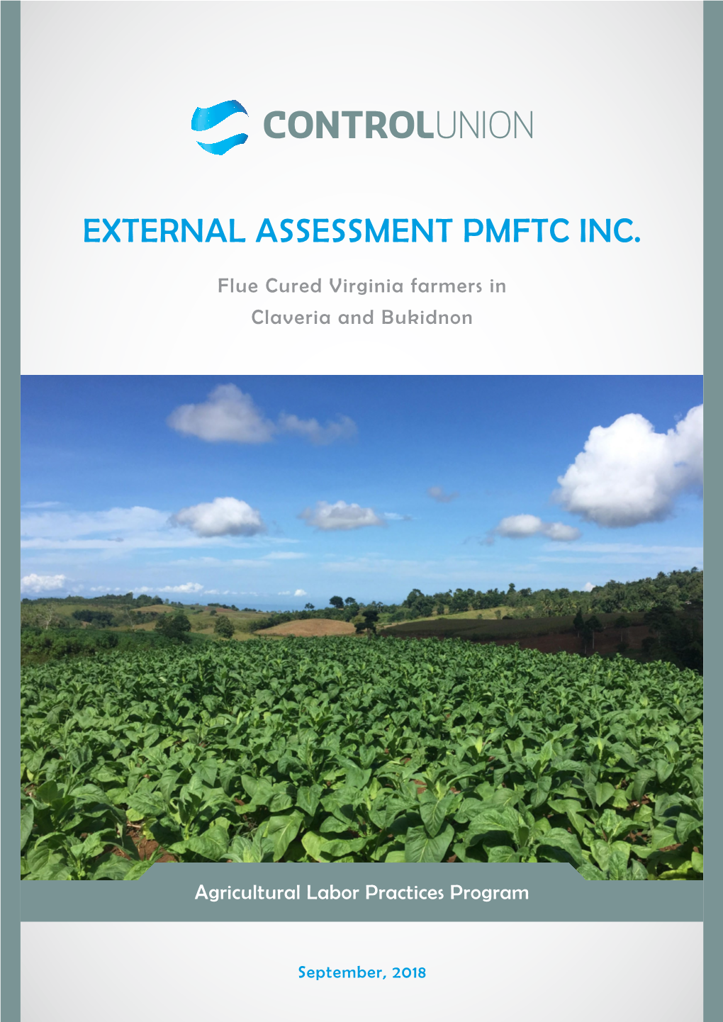 External Assessment Pmftc Inc