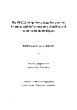 The UBE2L3 Ubiquitin Conjugating Enzyme: Interplay with Inflammasome Signalling and Bacterial Ubiquitin Ligases