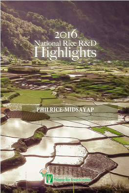 PHILRICE-MIDSAYAP Branch-Based Highlights