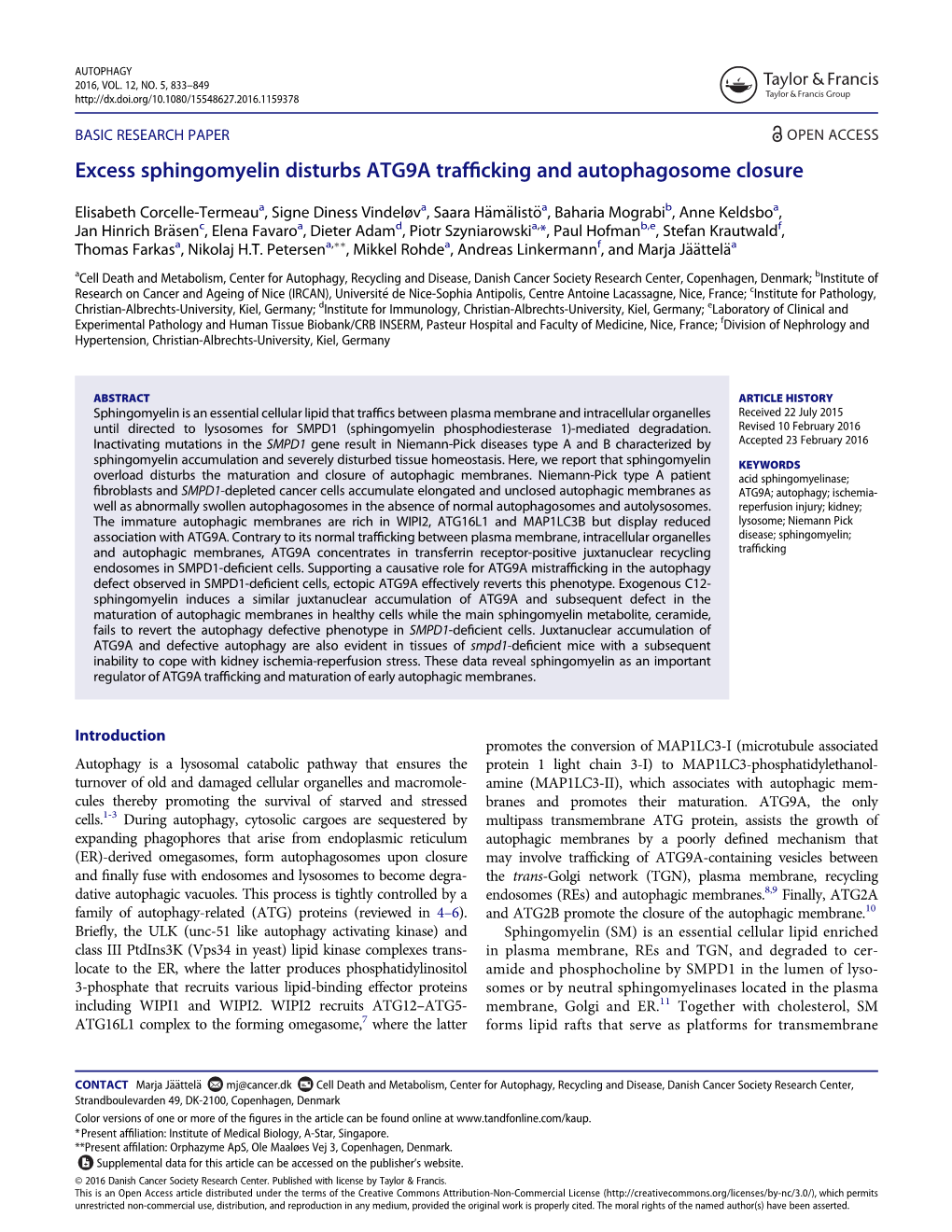 Excess Sphingomyelin Disturbs ATG9A Trafficking And