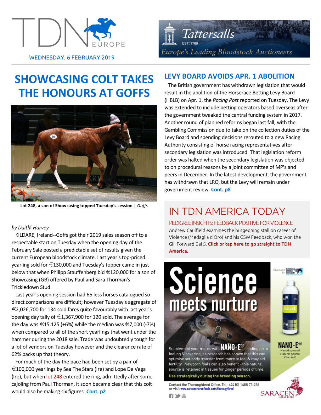 Showcasing Colt Takes the Honours at Goffs