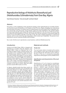 Reproductive Biology of Holothuria (Roweothuria) Poli (Holothuroidea: Echinodermata) from Oran Bay, Algeria