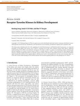 Review Article Receptor Tyrosine Kinases in Kidney Development